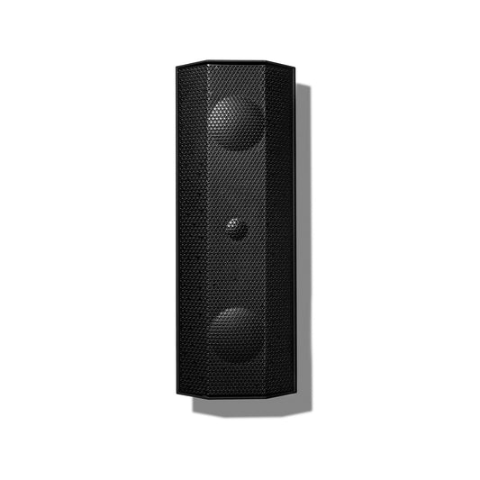 Lithe Audio iO1 Indoor & Outdoor WiFi Master Speaker (Black)
